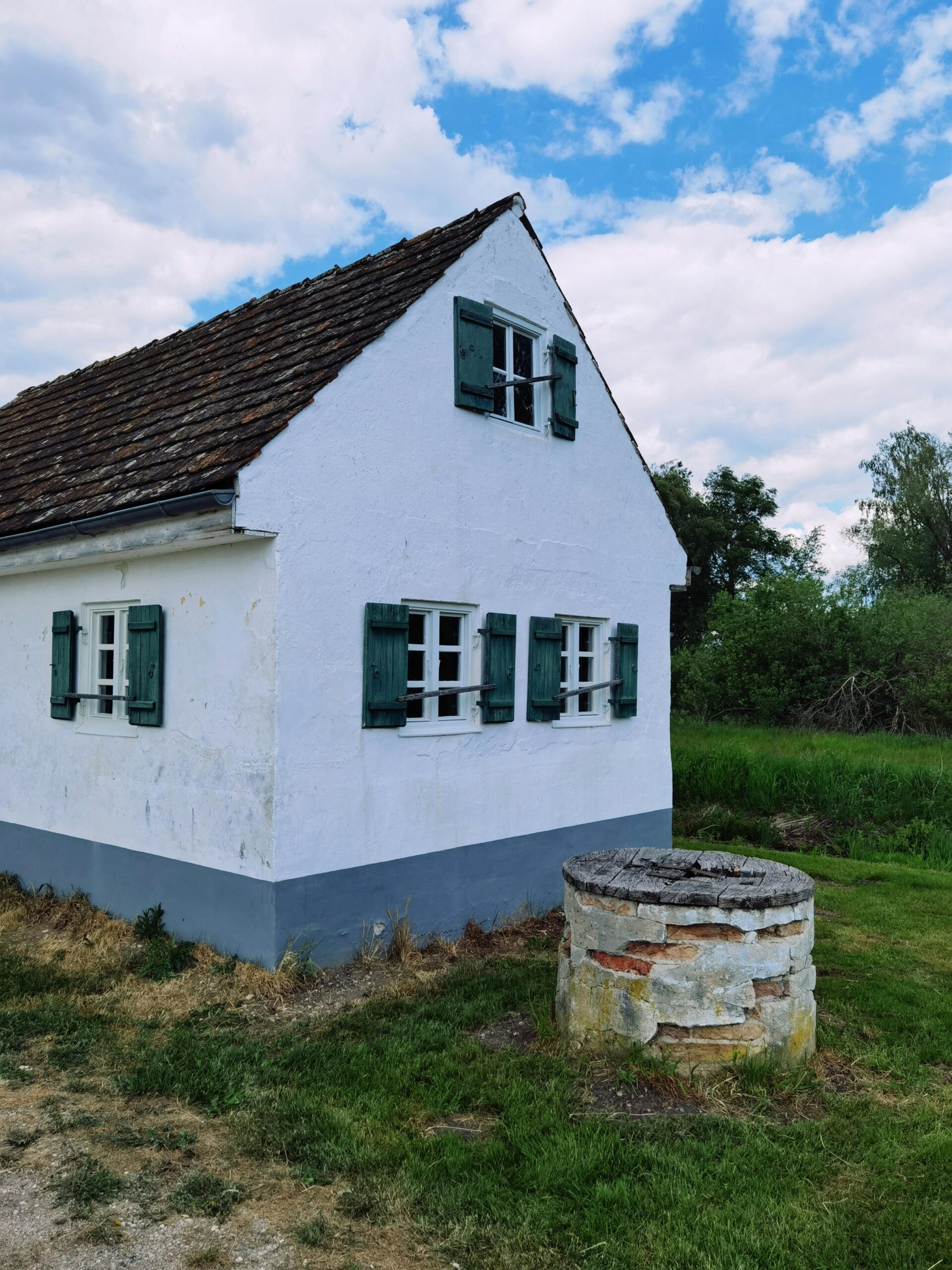 pexels-verolova-32177622