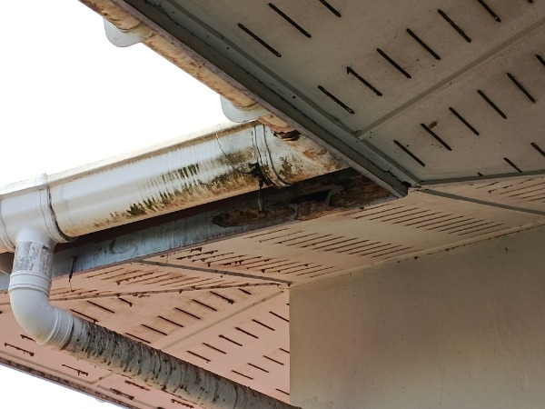 damaged soffit and roof gutter leak repair