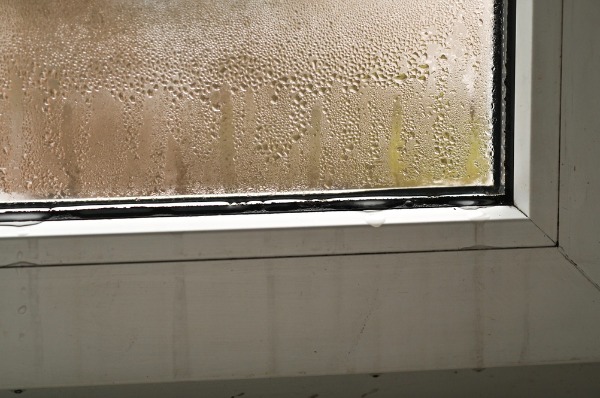 interior window pane fogging and moisture buildup